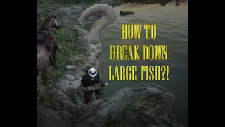 Break Down Large Fish RDO 2