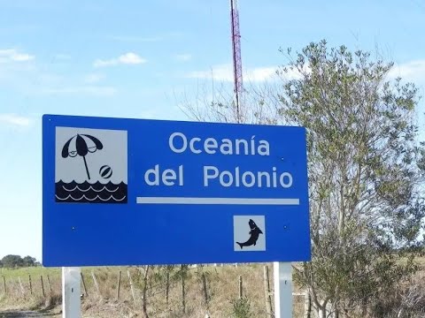 ♦#Oceanía del #Polonio #Rocha Chacra 22 hás Sobre Ruta 10 Próximo Océano Atlántico & Cabo Polonio