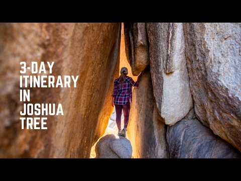 How to Spend a Long Weekend in Joshua Tree National Park: The Best 3-Day Itinerary!