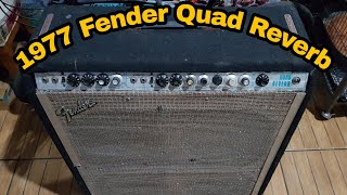 Video thumbnail for Fender Quad Reverb '77 Sound | Cranked Vintage Amp by Yofa Yuandira