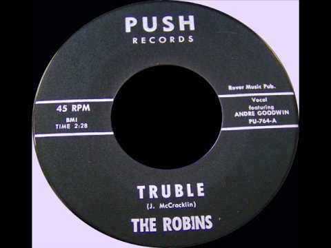 THE ROBINS -  TRUBLE