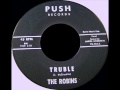 THE ROBINS -  TRUBLE