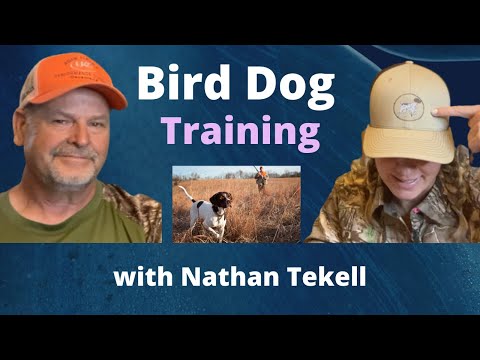 Bird Dog Training with Nathan Tekell | Ep. 22