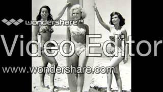 Point Panic - The Surfaris