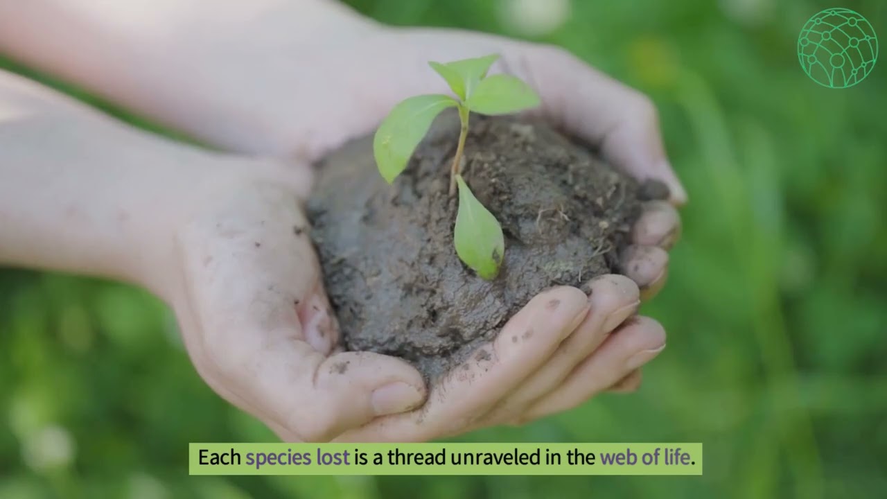 The Impact of Human Activities on the Environment