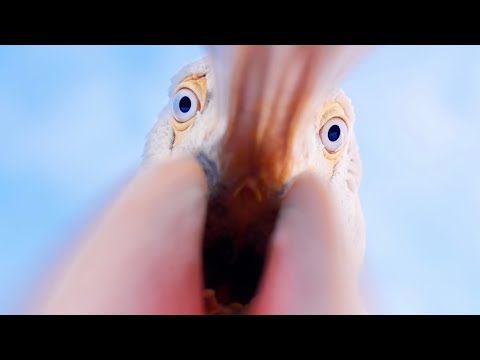 Is This AI??? AI Accusations Gone Wild - Best Compliment Ever