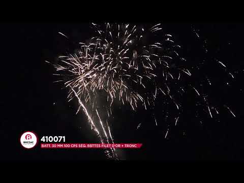 410071 - BATT. 30 MM 100 CPS SÉQ. BBTTES FILET D'OR + TRONC