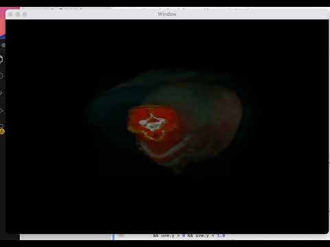 保健学科 3D texture Voulume Rendering