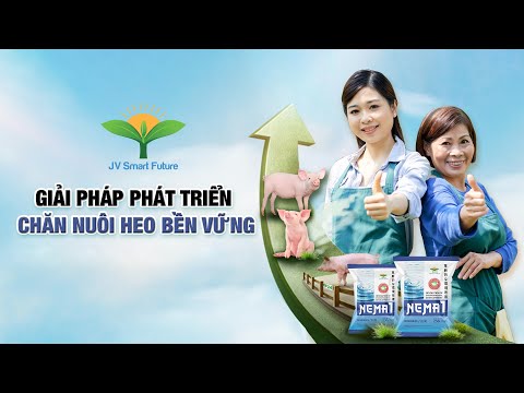 Giải pháp toàn diện cho chăn nuôi heo