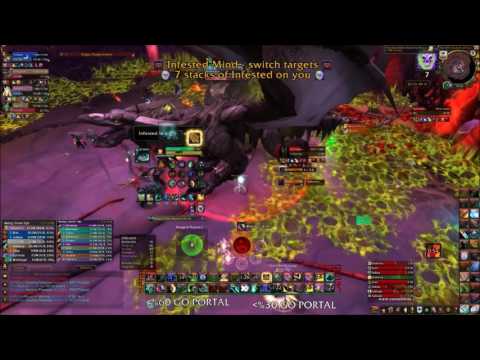 Mythic Nythendra - Vischne - Sexiest Kill - Prot War/WW Monk/Retri Pala PoV
