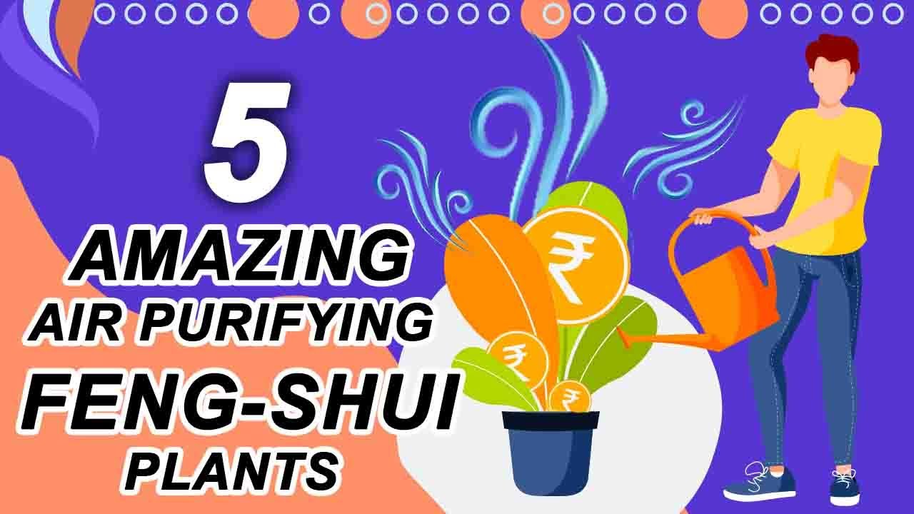 Watch Video 5 FENG SHUI PLANTS THAT PURIFY THE AIR | ACE GROUP INDIA
