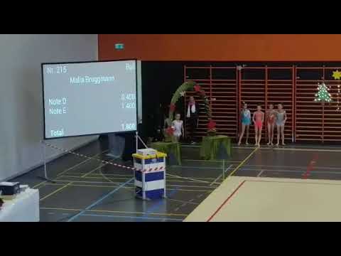 Sophia Carlotta Chiariello - Kyburg Cup, 25.11.17 - Ball