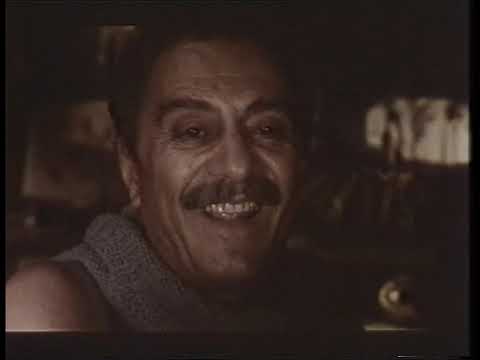 In viaggio con Alberto (1990) - film completo