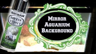 Rust-Oleum Mirror in a Can | DIY Mirror Aquarium Background!