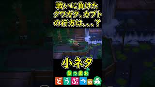喧嘩に負けたクワガタ、カブトムシの行方は、、、？　【あつまれどうぶつの森】 　小ネタ　【あつ森】　#Shorts