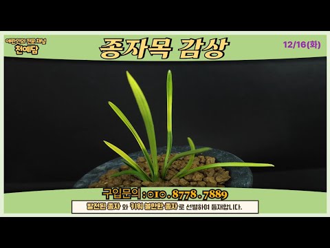 유튜브 썸네일