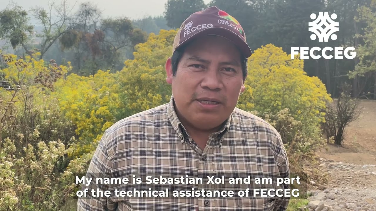 Joyabaj request your support and solidarity