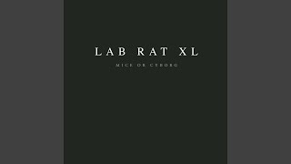 Lab Rat 3