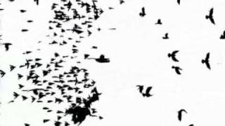 The Legendary Pink Dots - Pastorial