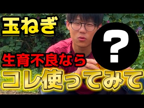 タマネギを使って蘭を増やす