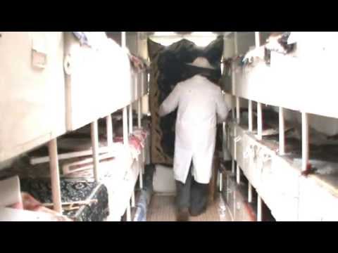 3. Prima vizita la Bio Stupul stationar / pe vatra 3/3