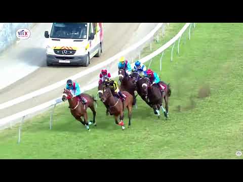 Hippisme : Suivez en direct la 6ème course de la 10ème journée de course au Champ de Mars.