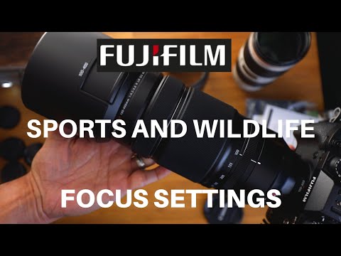 Fujifilm FOCUS-Einstellungen für Vogelbeobachtung und Sport