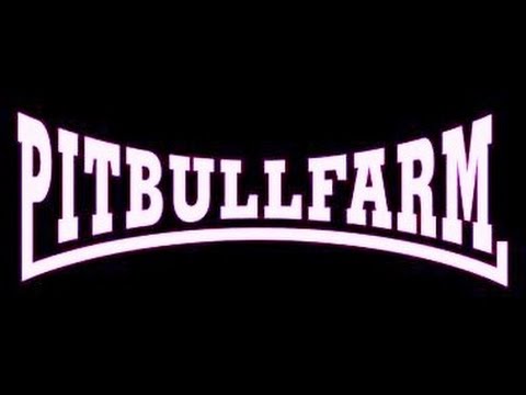 Pitbullfarm - Coventry - 24.10.15 (pt6) 'White Trash Gigolo'
