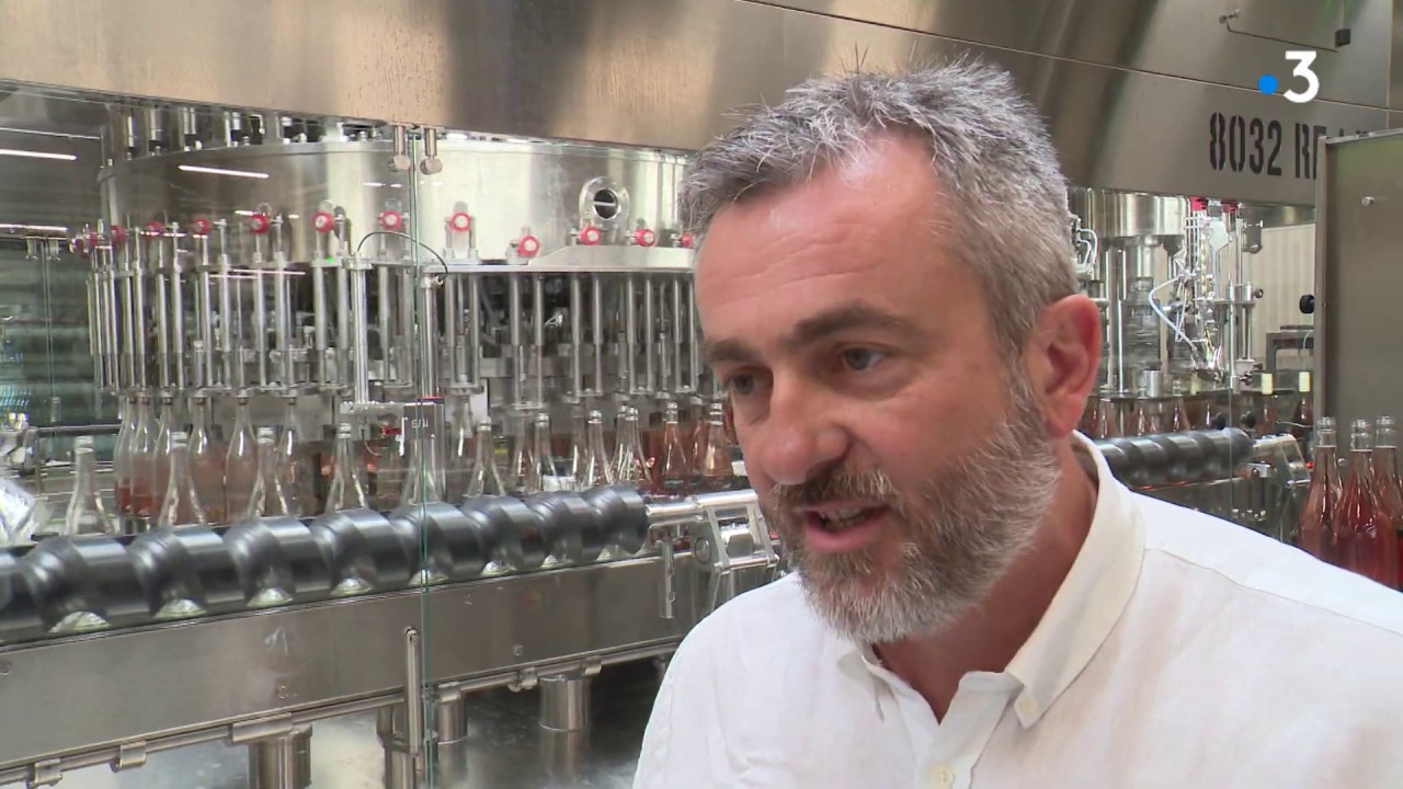 Limoux : ouverte en janvier, une usine d’embouteillage s'adapte avec le coronavirus