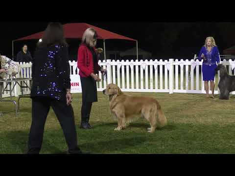 10Jun23 Yuggera CC FCI Show