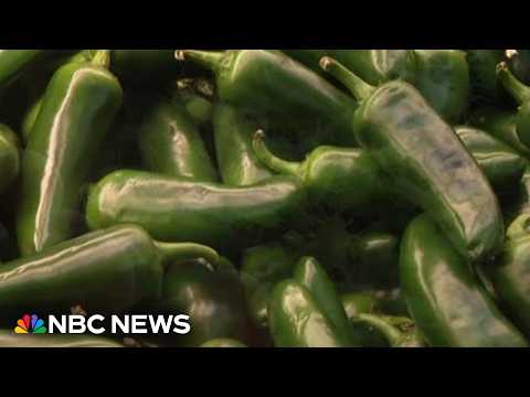 Salmonella outbreak expands to 27 states