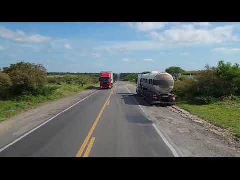 (EP1486) TEOFILANDIA E ARACI BR116  BAHIA 