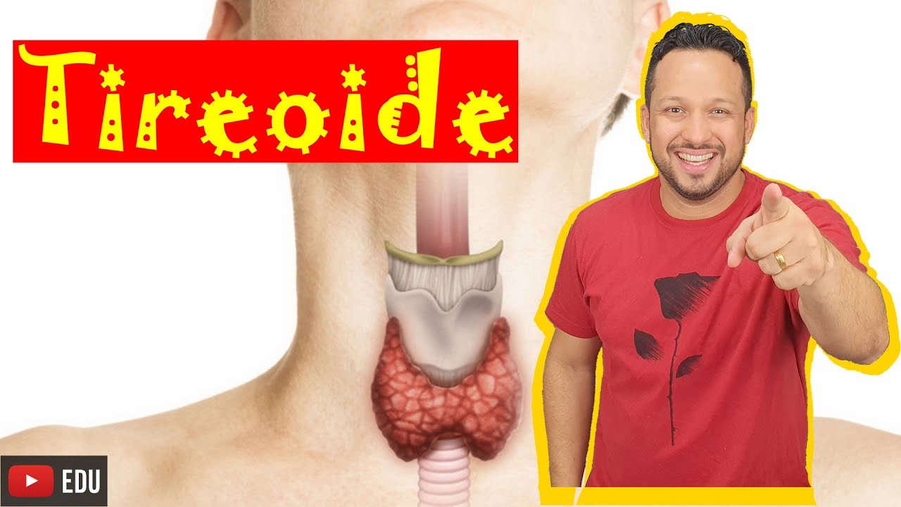 Tireoide - Hormônios (T3, T4 e Calcitonina) e Funções - Sistema Endócrino - Aula 5