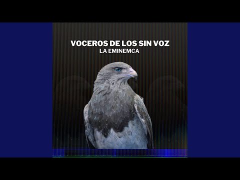 Video thumbnail for A la carga