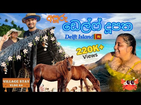 ඩෙල්ෆ් දූපත | Delft island 🏝️ අපි ගියපු හොදම Travel Destination එකක් - Delft Village Stay #srilanka
