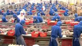 THỦY SẢN VIỆT NAM SỐ 04