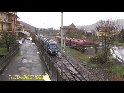 IL SALUTO DEL MINUETTO IN TRANSITO NELLA PIOGGIA A ROBILANTE (CN) DOM. 24 - 11 - 2019