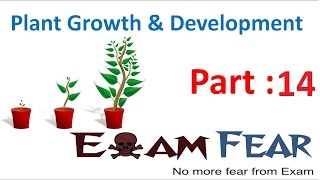 Biology Plant Growth & Development part 14 (Ethylene) CBSE class 11 XI