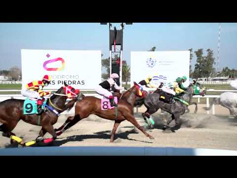 210723 c01 - FINAL "POTRO DEL FUTURO 2021" - PACHANO CARVER MR - HIPODROMO LAS PIEDRAS