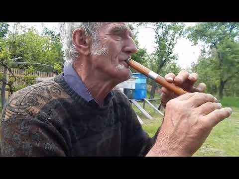 Petar Ljeparević-Vlaško-