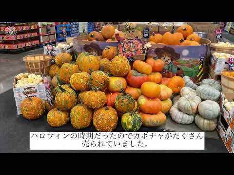 児童教育学科 20230919【英語英米文学科】STAYS-01(UCD)