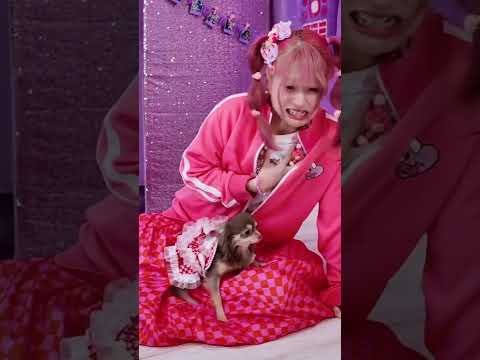 飼い主が倒れた時の愛犬の反応がヤバすぎるwww #tiktok #shorts