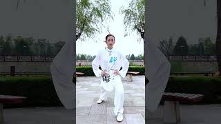 Tai Chi Walking Video Guide
