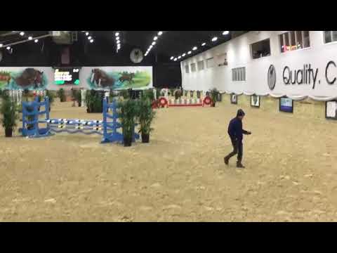Chessie - First Ever Jumper Round (Jan 2019)