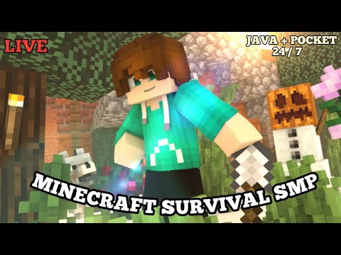 Insane 24/7 Minecraft Survival SMP! Join Season 7 NOW