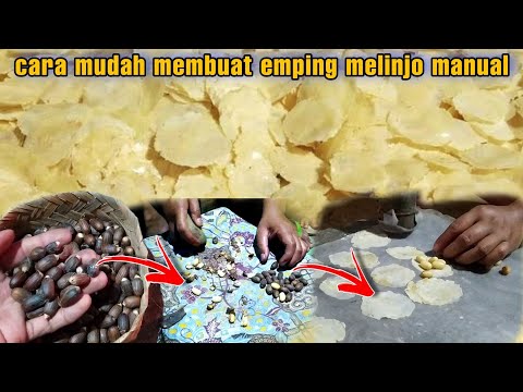 cara mudah membuat emping melinjo sendiri ( proses lengkap membuat emping melinjo)