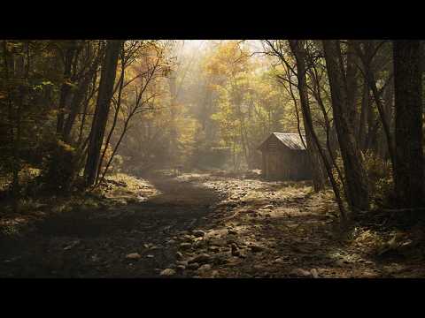 Aurora Hills: Chapter 2