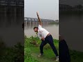AWARI FREESTLYE DANCING TIGER POP
