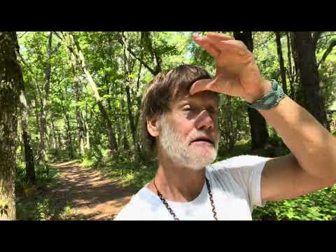 Why Do Old Souls Feel And Suffer More Deeply?