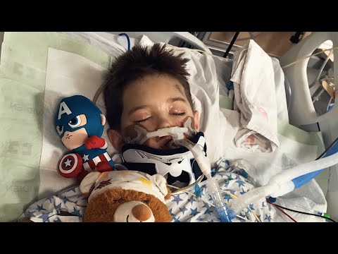 Witness21 Editor  2020 08 31